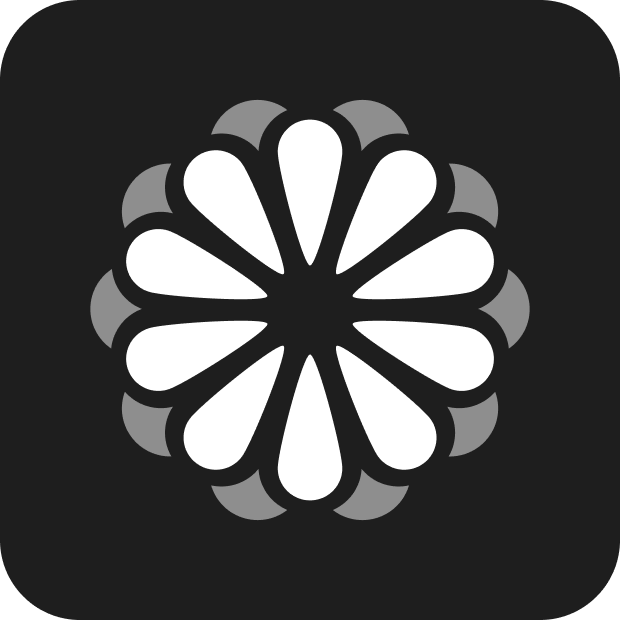 Icon dark 2